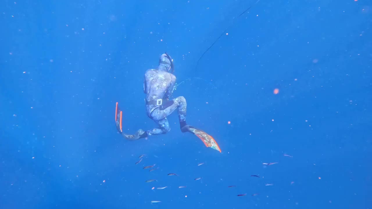 An underwater view follows a diver through blue water and back toward the surface.